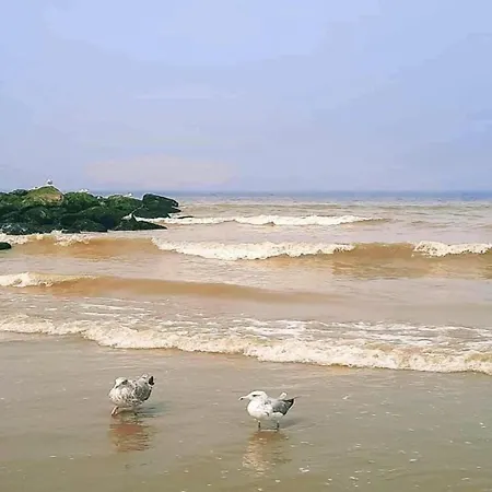 アパート In With Sea Views ニーウポールト